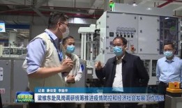 王先生爆料东莞新闻视频,东莞新闻视频背后的真实故事